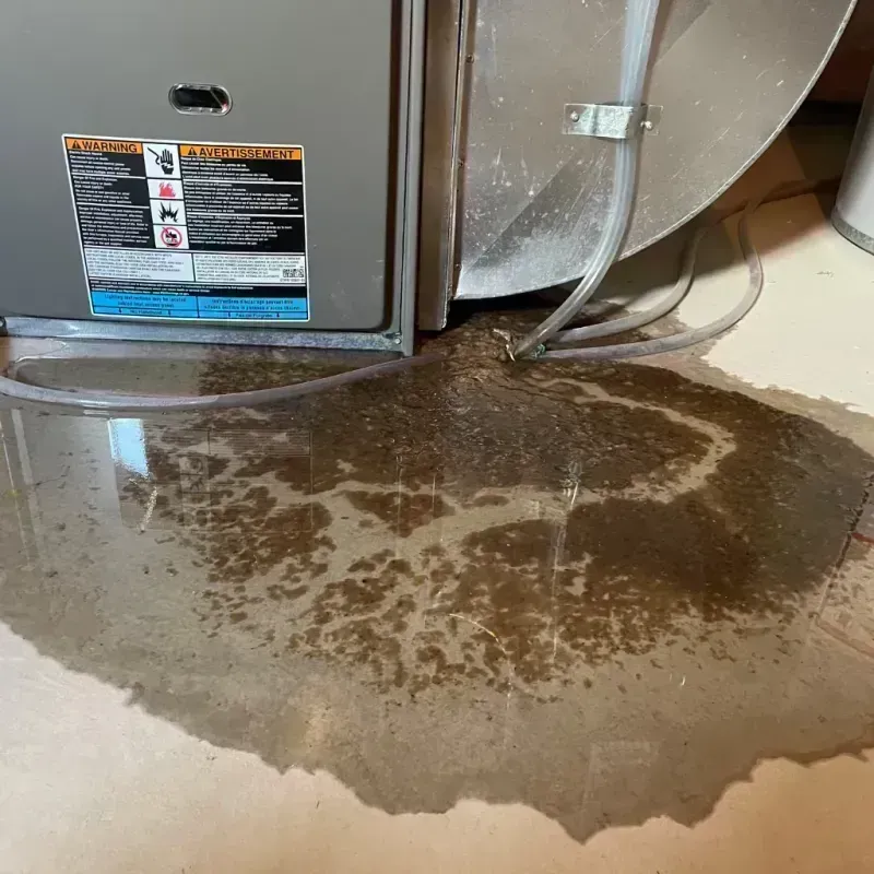 Appliance Leak Cleanup in Hyde Park, IL